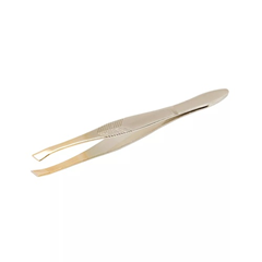 PINCA PONTA DOURADA SANTA CLARA